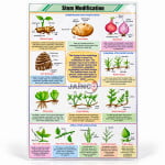 Stem Modification Chart